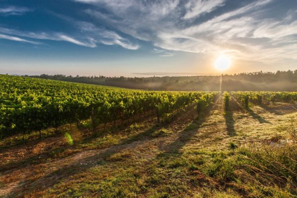 farm-land-during-sunset-51947-1024x683